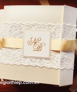 mẫu thiệp cưới TGTD038
