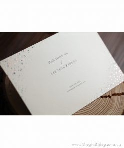 Thiệp cưới BH7602