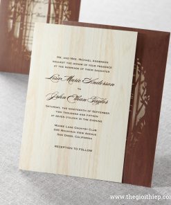 bộ Thiệp cưới đẹp IWP4030