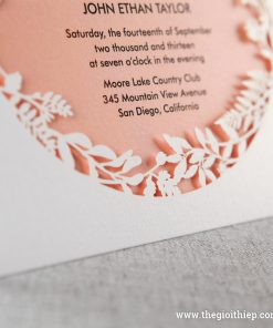 Thiệp cưới B3586 nhập khẩu từ bhands hàn quốc